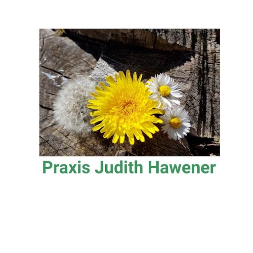 Logo des Unternehmens: Judith Hawener Dipl.-Psych. Heilpraktikerin für Psychotherapie