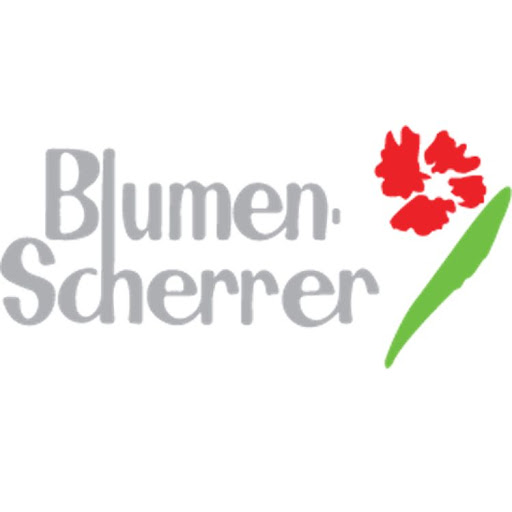 Logo des Unternehmens: Blumen Scherrer