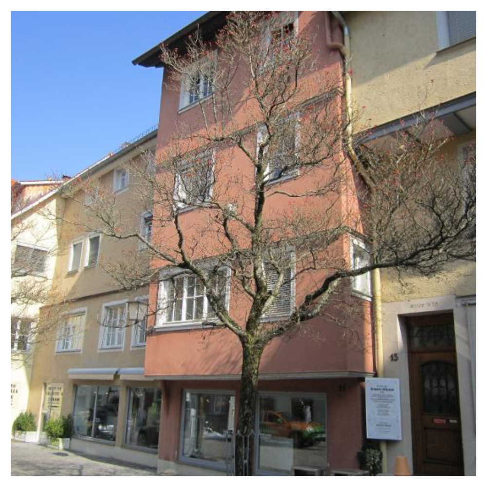 Gallery image 1