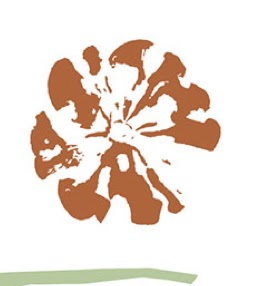 Logo des Unternehmens: Reiter Die Blüten- & Gartengestalter Inh. I.Rau