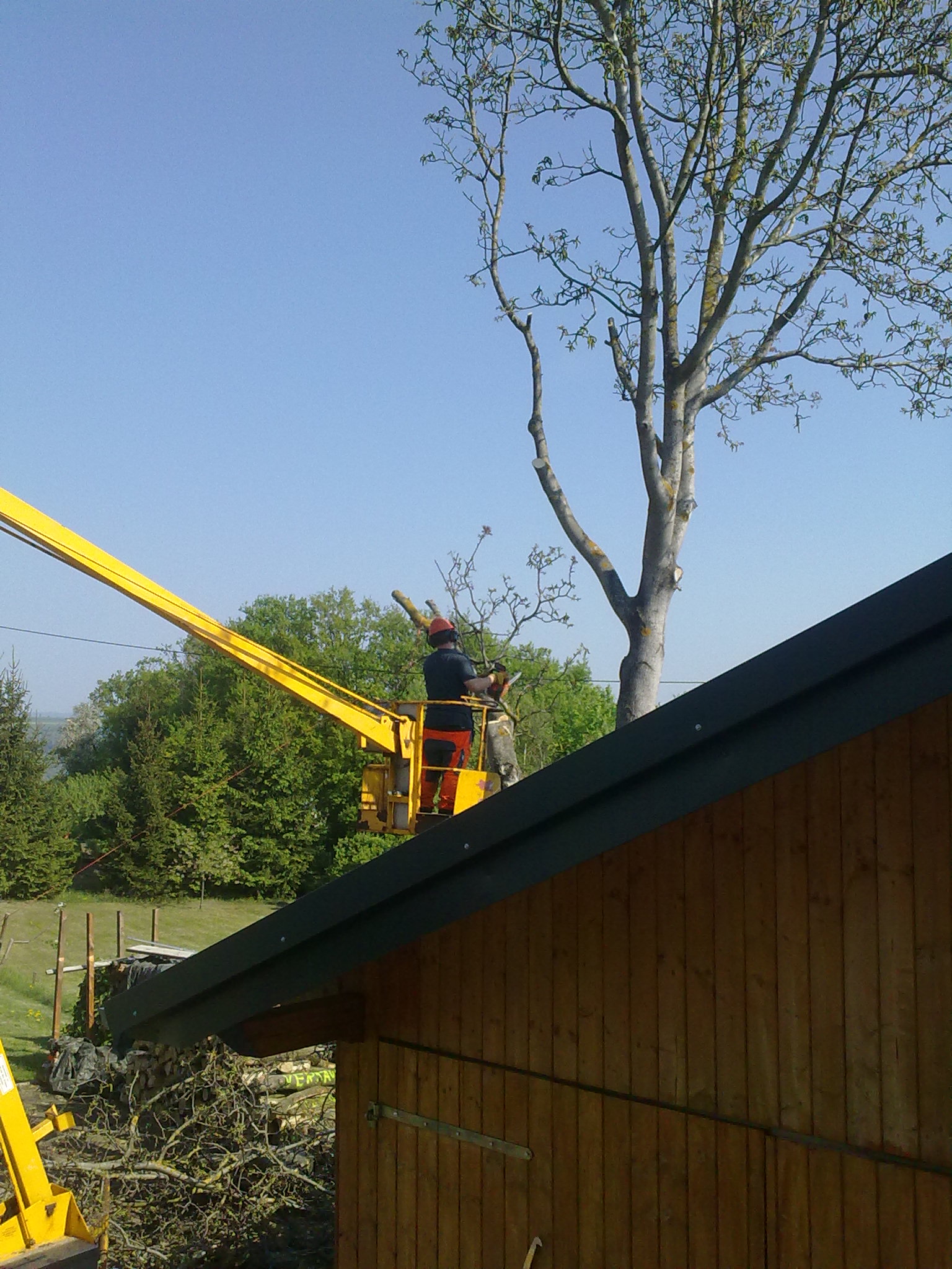 Forstwirt Timo Ketzer Forst- und Gartenarbeiten