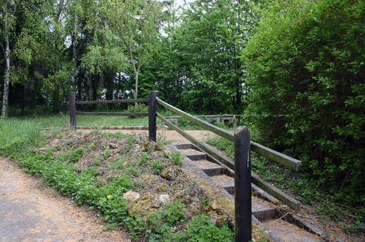 Gallery image 4