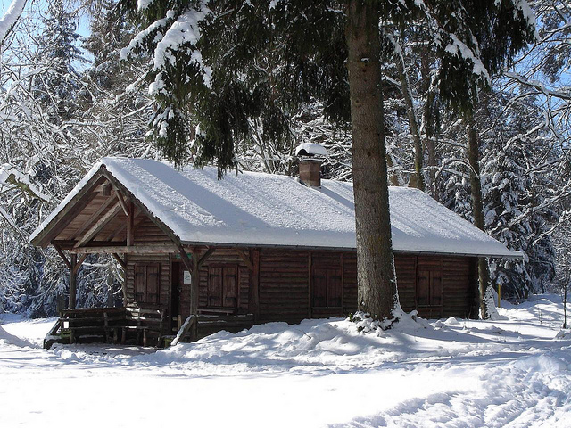 Gallery image 3