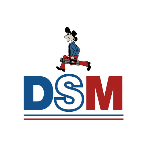 Logo des Unternehmens: DSM Heizung - Der Solar-, Sanitär- & Heizungsbaumeister, Martin Eckhardt