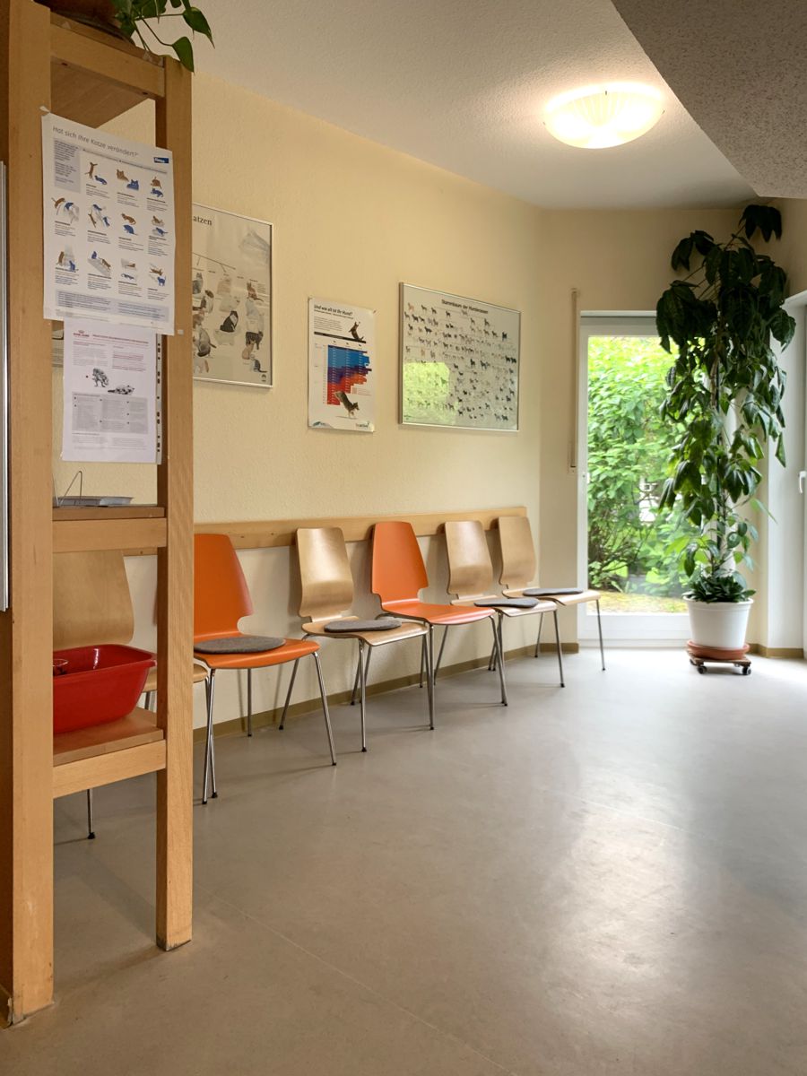 Gallery image 4
