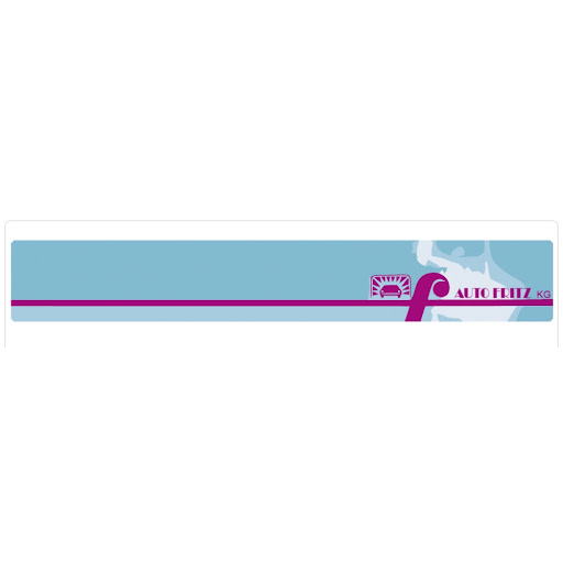 Auto Fritz GmbH & Co. KG