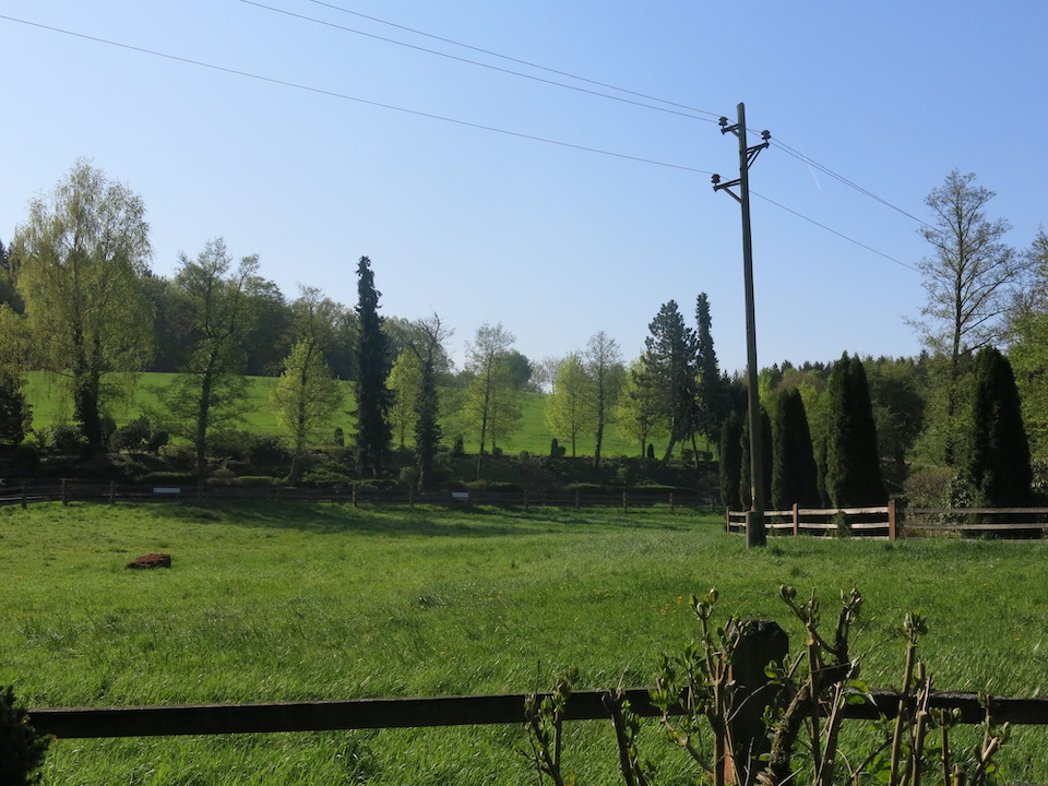Gallery image 4