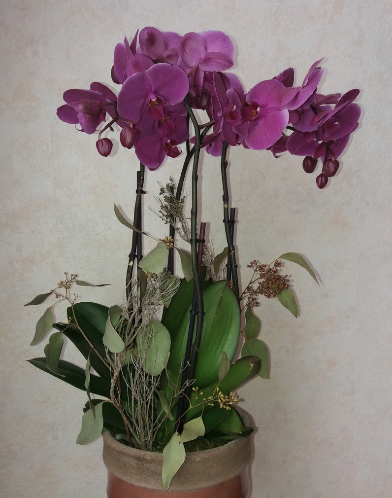 Gallery image 1