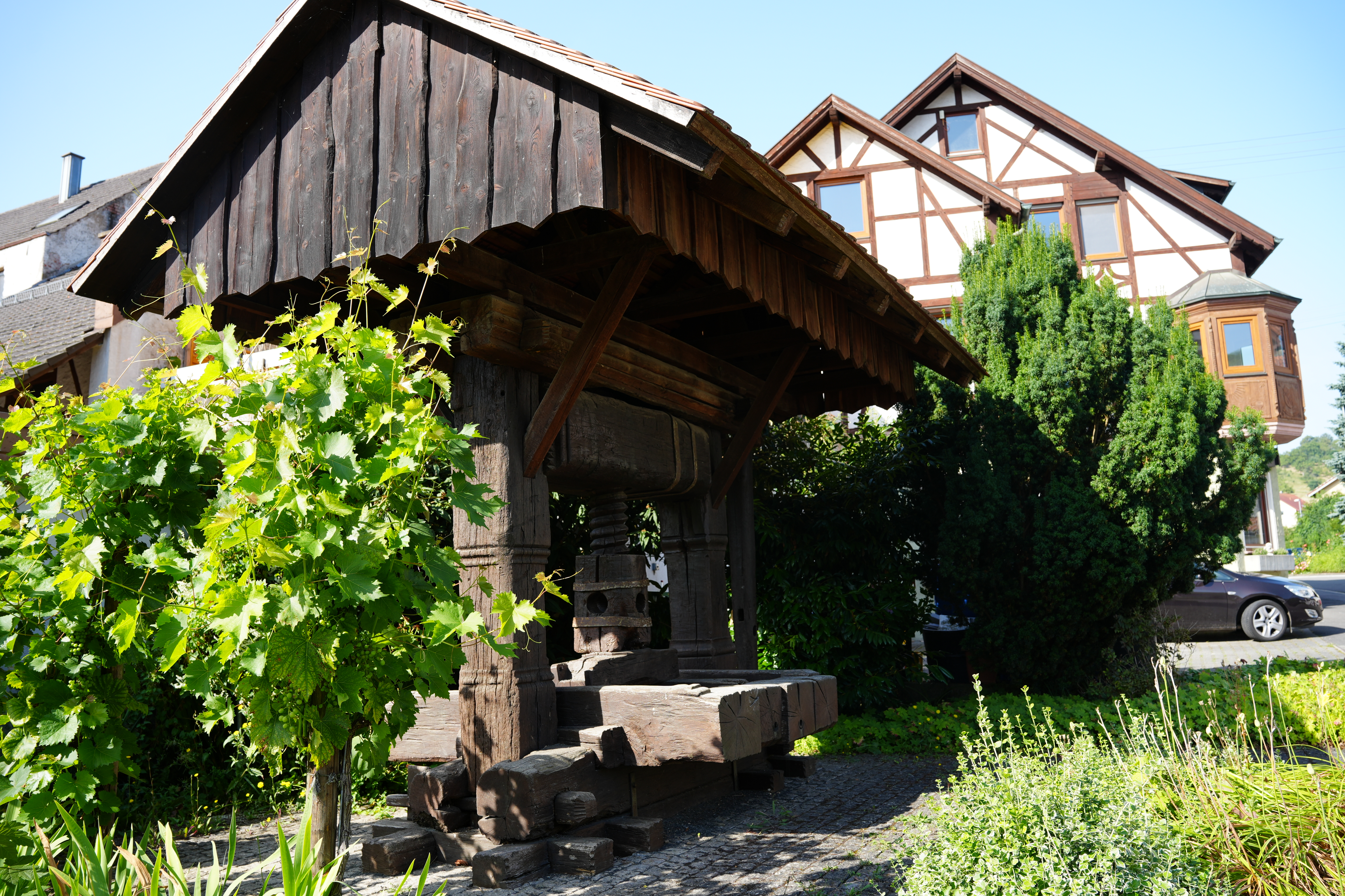 Gallery image 4