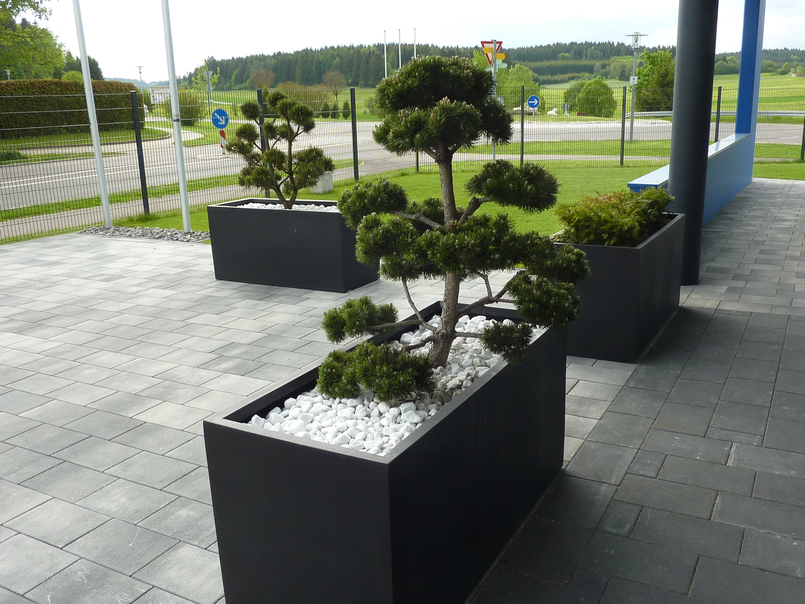 Blumenpanorama Hosch