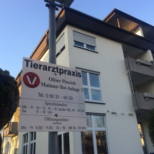 Gallery image 1