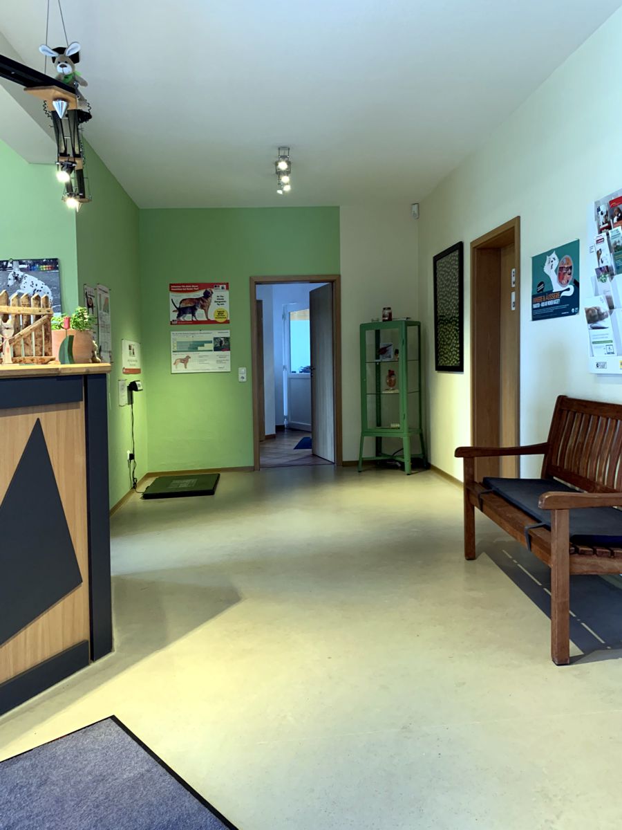 Gallery image 3