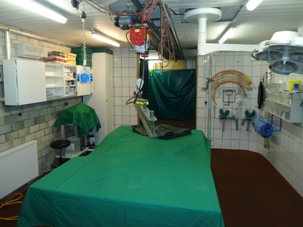 Gallery image 3