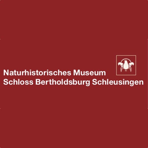 Logo des Unternehmens: NaturHistorisches Museum Schloss Bertholdsburg