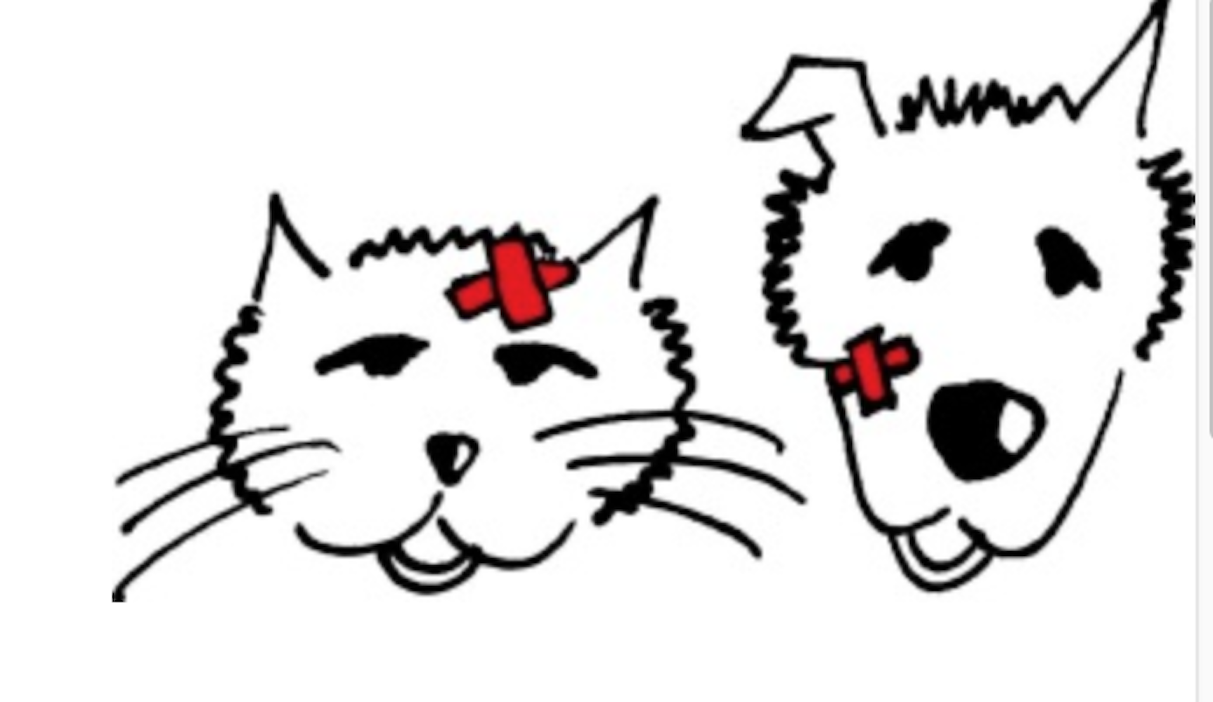 Tierarztpraxis Dr. Wittchen Gmbh