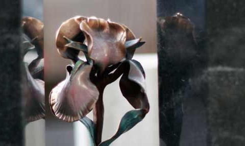 Gallery image 1