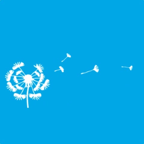 Logo des Unternehmens: Dr. med. dent. Elgin Gerlach (Laufenberg) Kinderzahnarztpraxis