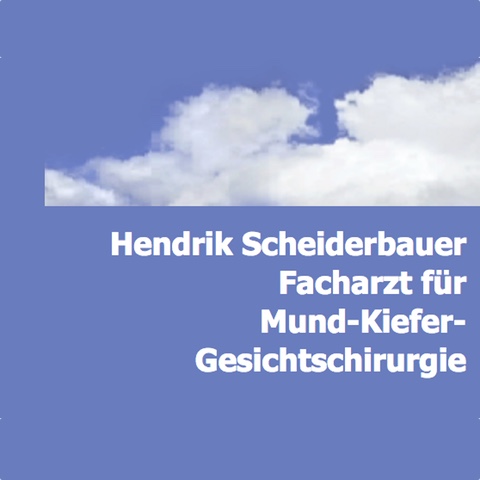 Hendrik Scheiderbauer