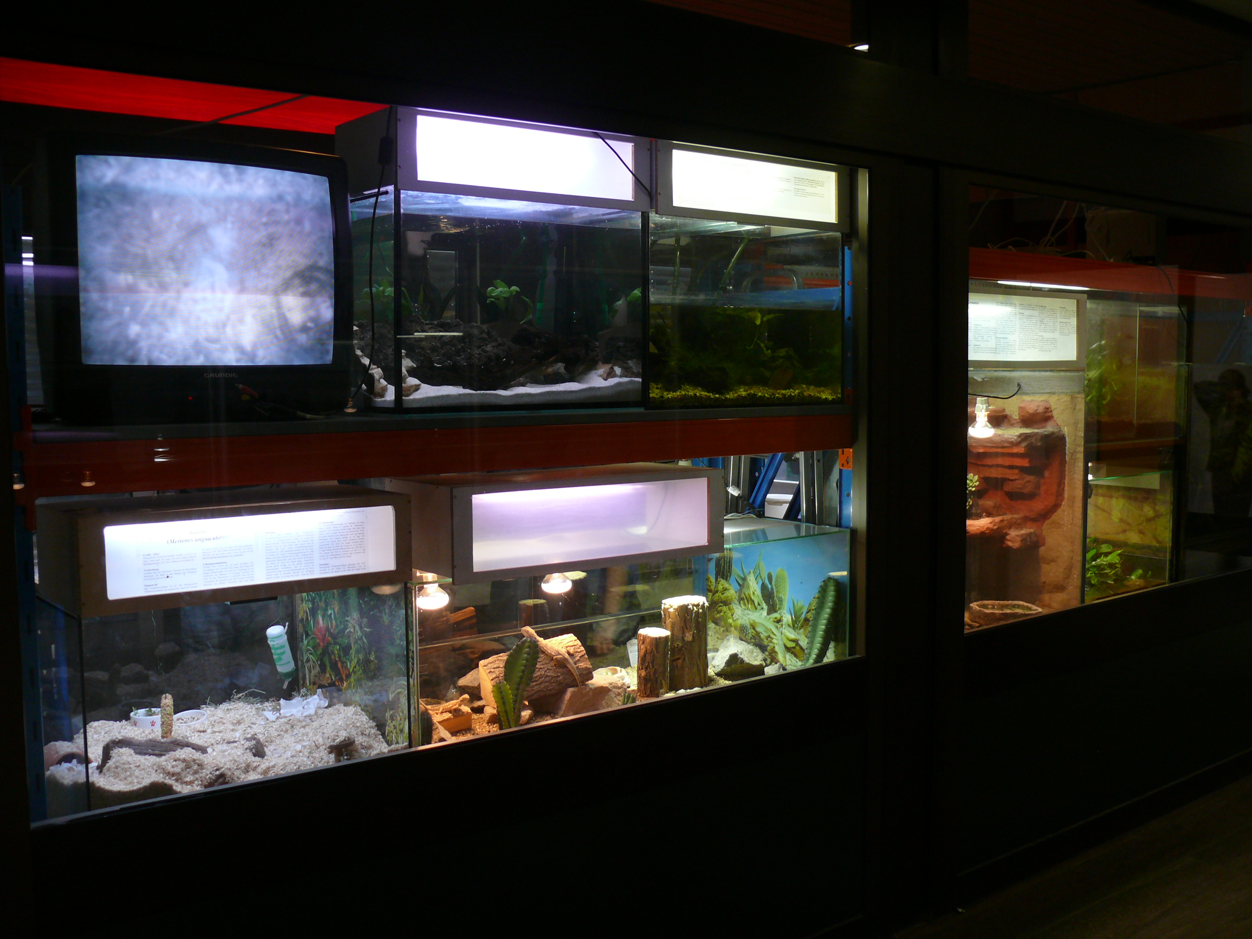 Gallery image 3