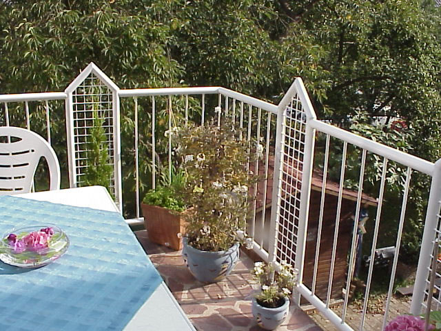 Gallery image 1