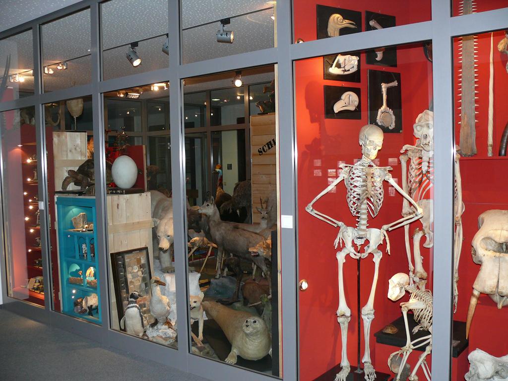 Gallery image 2