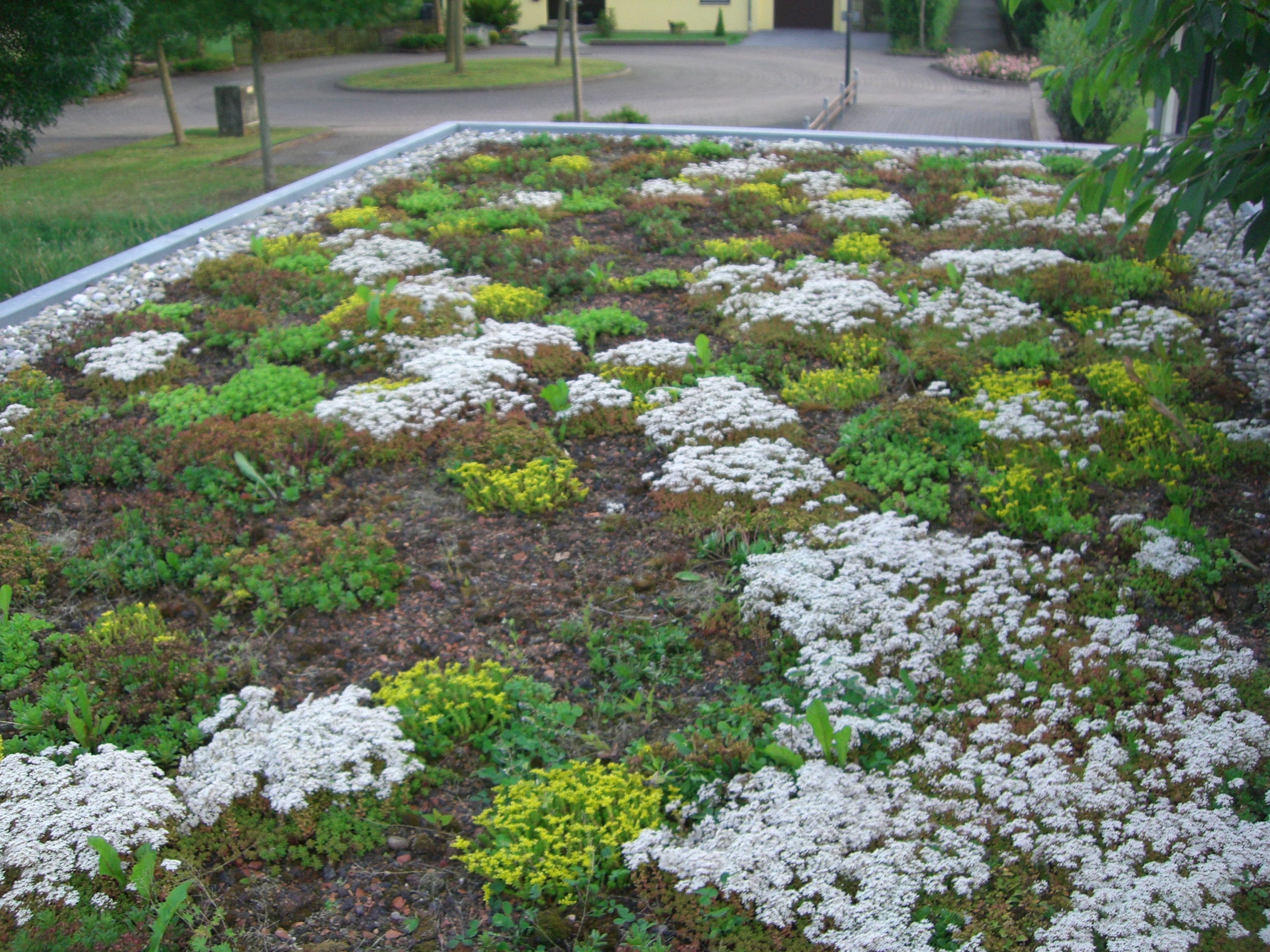 Gallery image 1