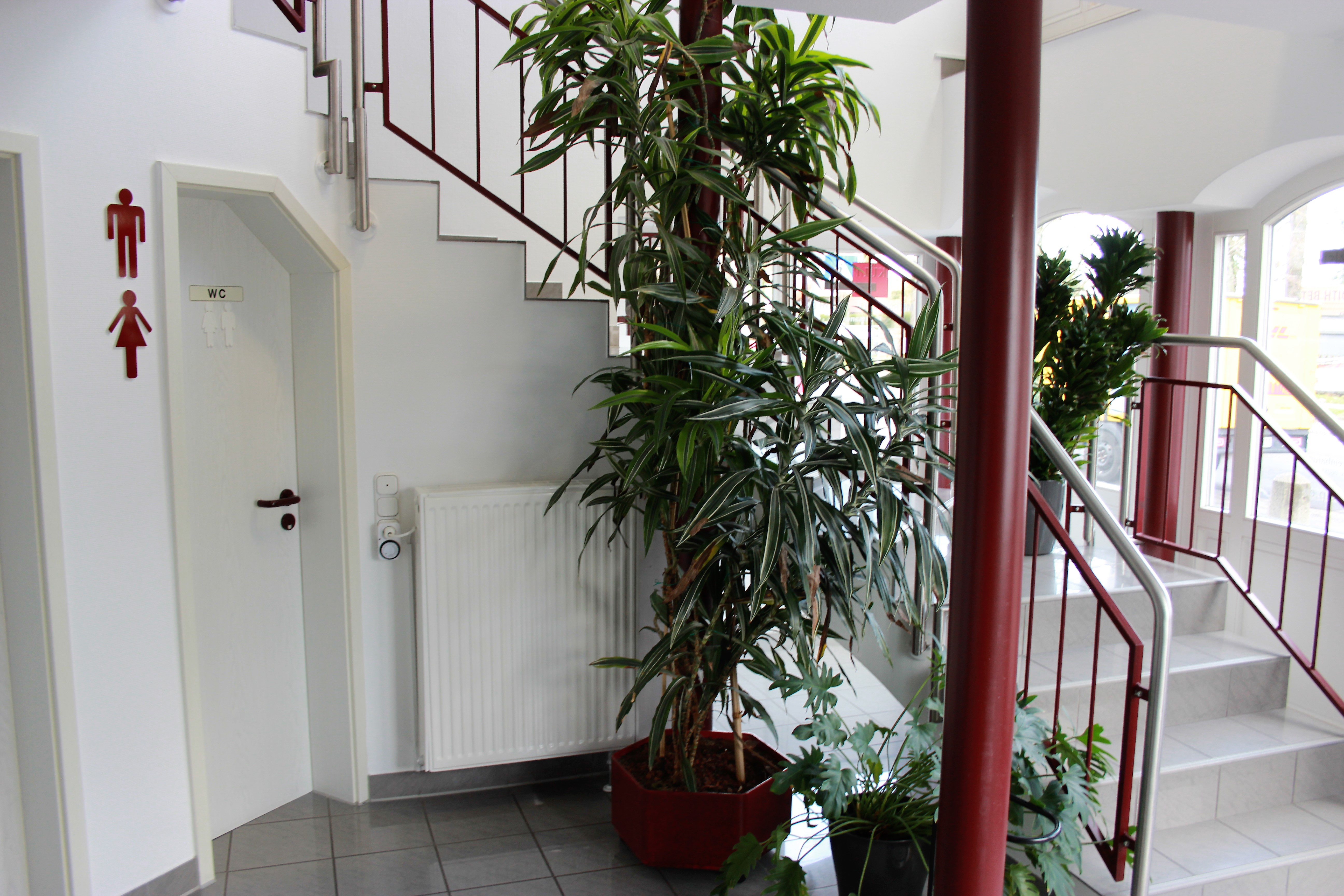 Gallery image 3