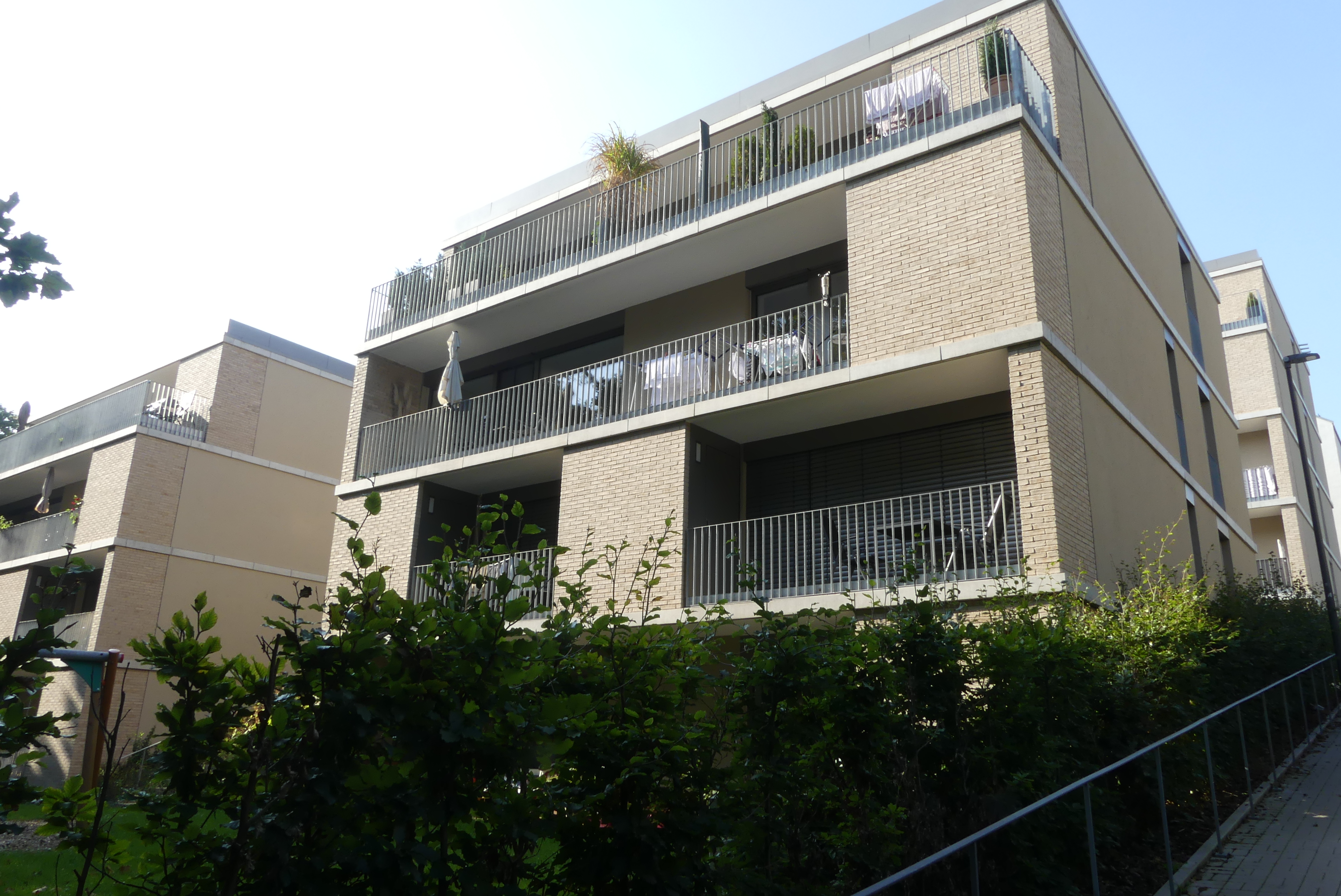 Gallery image 4
