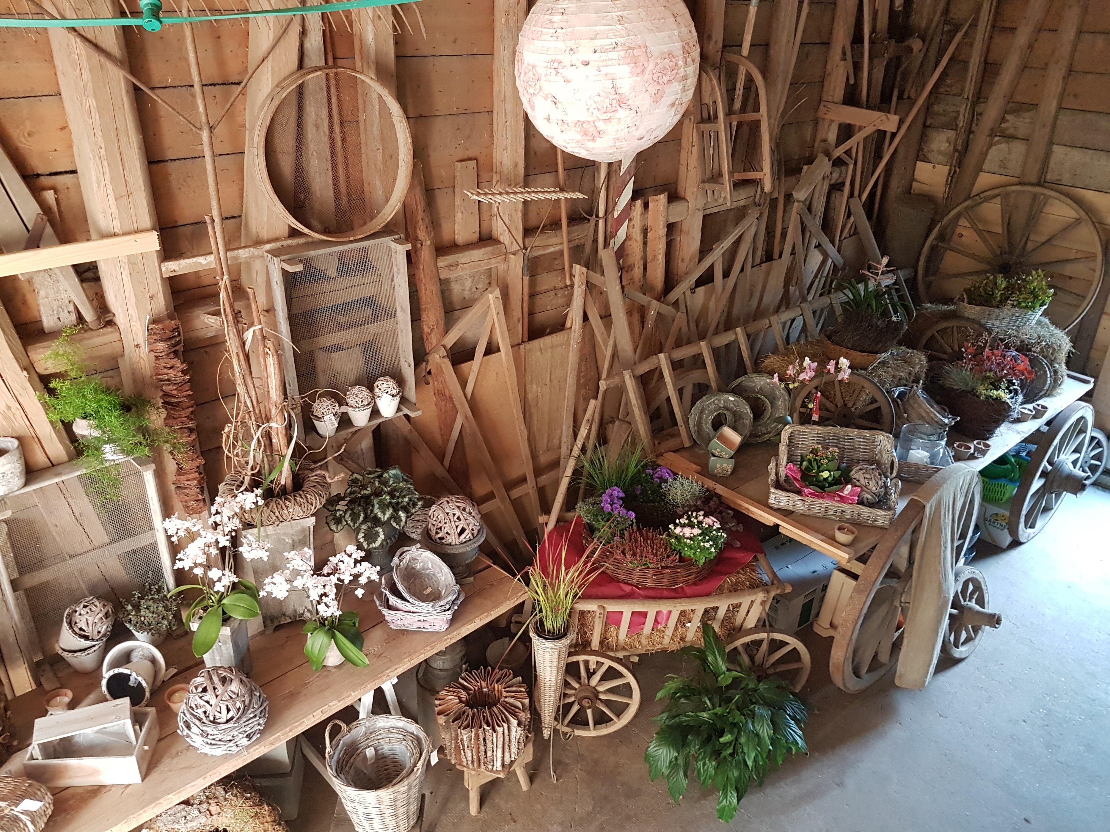 Gallery image 1