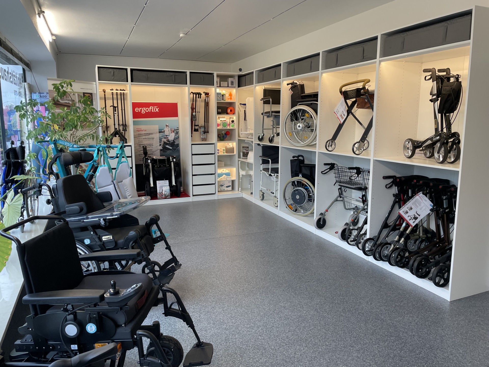 Gallery image 2