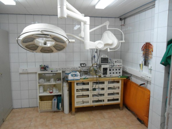 Gallery image 2