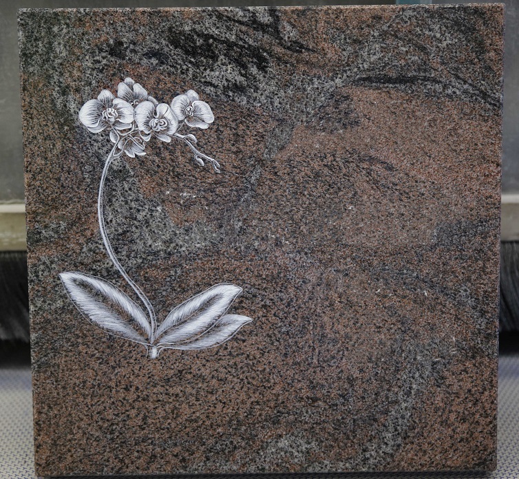 Gallery image 1