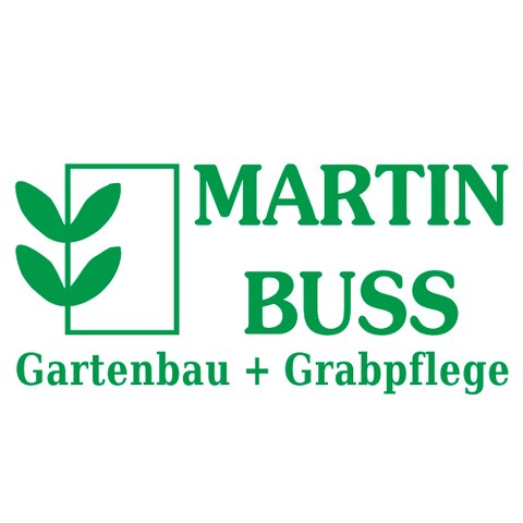 Martin Buss